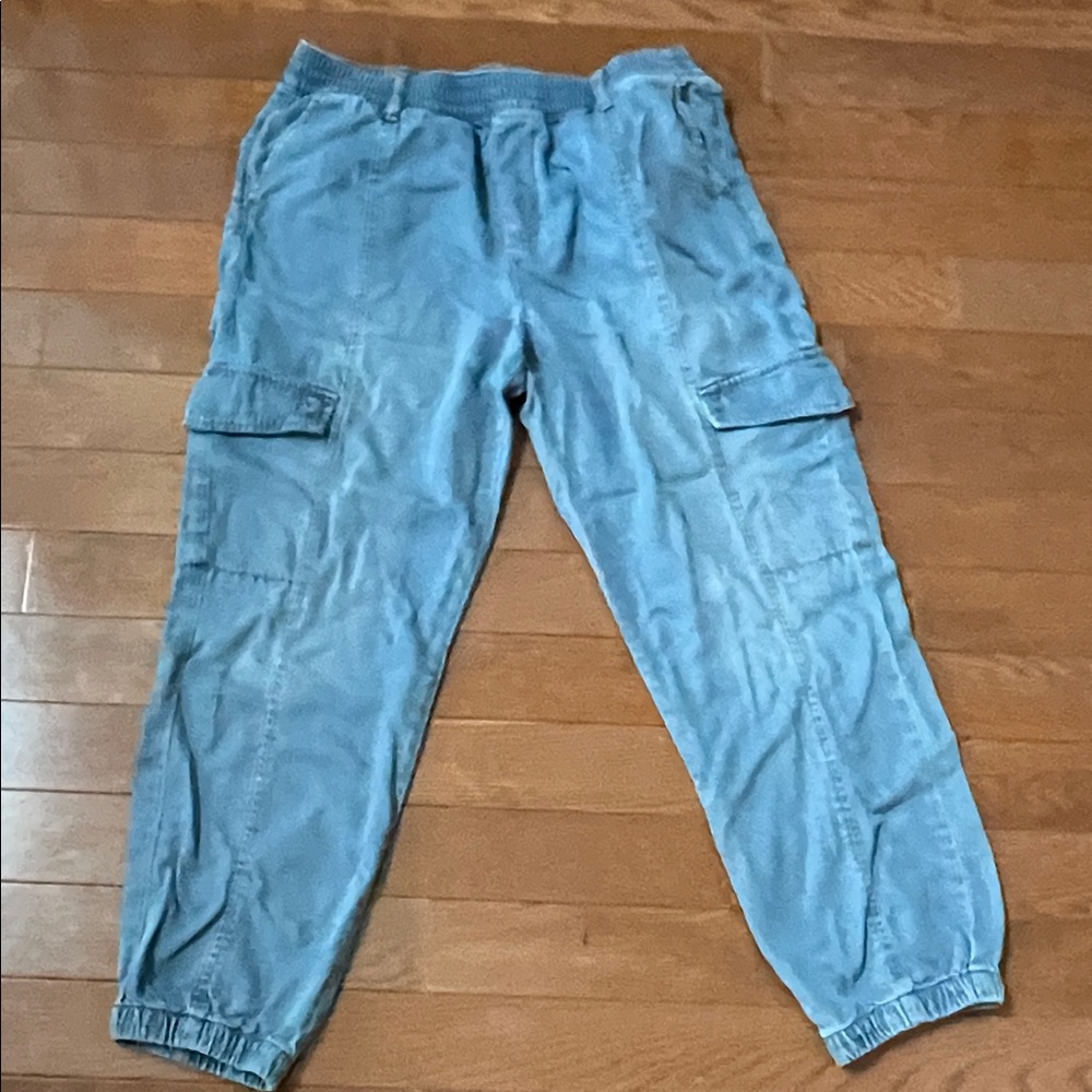 Sanctuary Relaxed Rebel Chambray Cargo Joggers